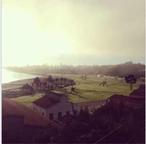 The Presidio looking towards Chrissy Field.