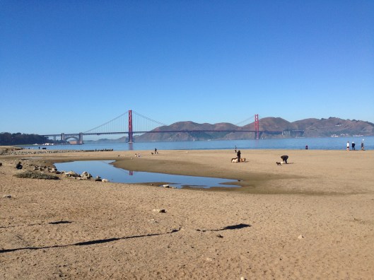 Hawk Hill is the tallest peak. 