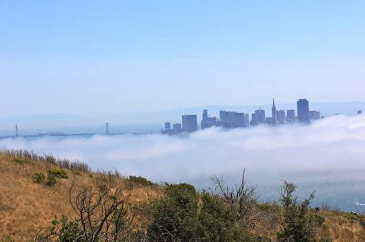 From our last Angel Island adventure.