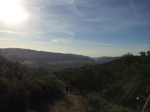 It was realllly hot out there!