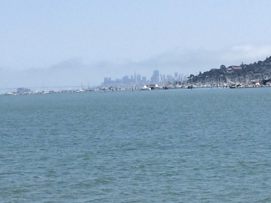 The San Francisco skyline from a different vantage point.