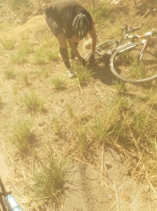 Assessing the damage