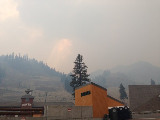 Pictures don't do it justice.