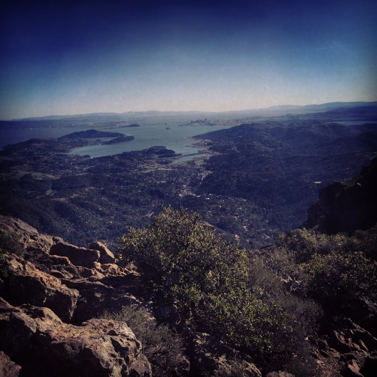 Perfect day on Mt Tam!